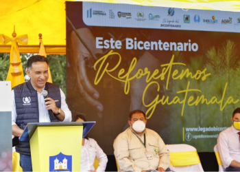 Guatemala plantará tres millones de árboles en el año del bicentenario