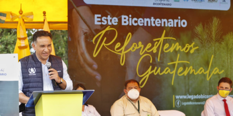 Guatemala plantará tres millones de árboles en el año del bicentenario