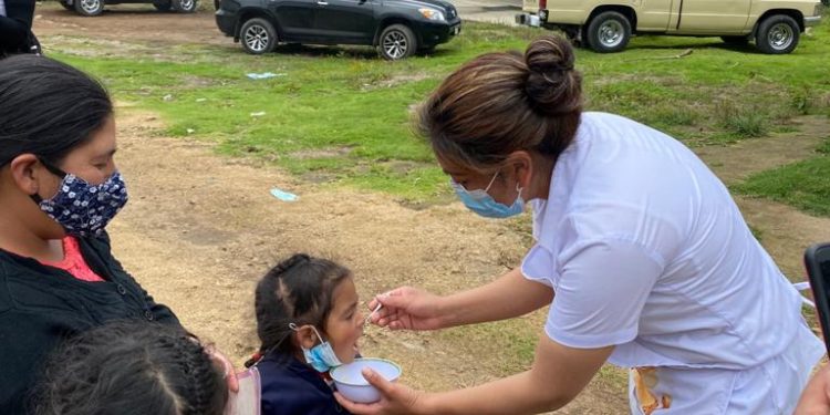 Proyecto “Sembrando Vida” llegará a Quiché