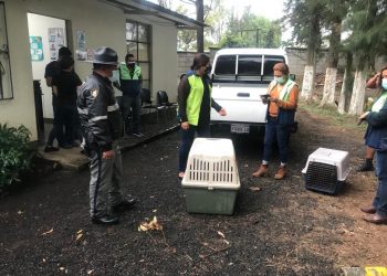 PROVIAL a favor del resguardo de la vida y de la protección animal