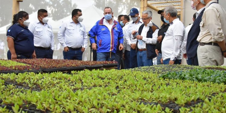 PRESIDENTE GIAMMATTEI CONSIDERA FUNDAMENTAL LA UNIDAD NACIONAL PARA COMBATIR DESNUTRICIÓN