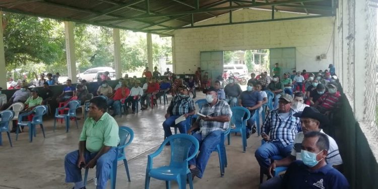 Mineco busca fortalecer e impulsar cadenas de valor entre productores de limón de Suchitepéquez