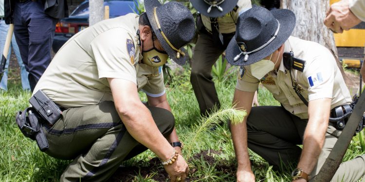 PROVIAL por la preservación del ecosistema