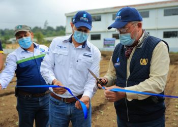 Abren nuevas puertas para el acceso y disponibilidad de alimentos