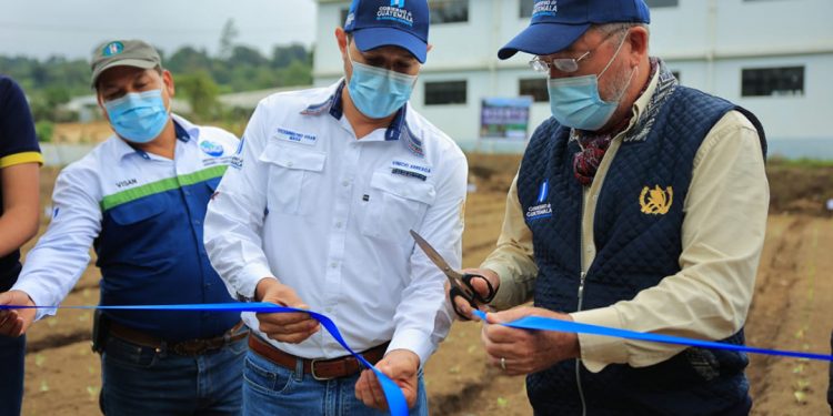 Abren nuevas puertas para el acceso y disponibilidad de alimentos