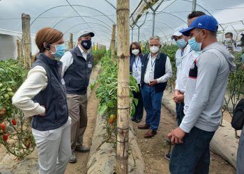 Estados Unidos busca potenciar la producción agrícola en Guatemala