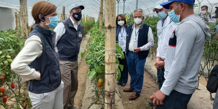 Estados Unidos busca potenciar la producción agrícola en Guatemala