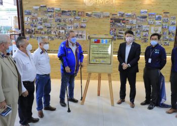 Guatemala es referente en la industrialización del bambú