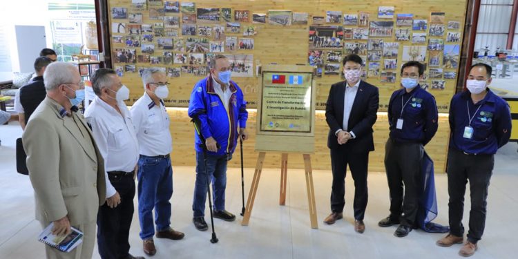 Guatemala es referente en la industrialización del bambú