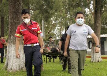 Capacitan a personal de la UBA para salvamento y rescate animal