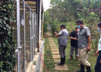 Supervisan establecimientos para garantizar el bienestar animal