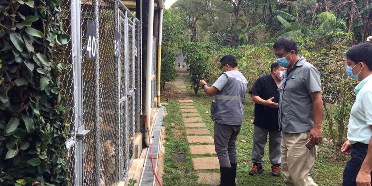 Supervisan establecimientos para garantizar el bienestar animal