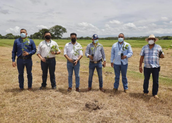 MARN implementa proyecto de restauración de bosques en la costa sur