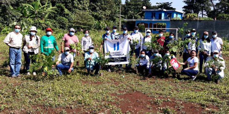 Avanza el programa Reforestemos Guatemala y las jornadas de limpieza en todo el país