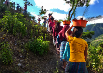 Plantan dos mil árboles en la cuenca del río Chixoy en Quiché