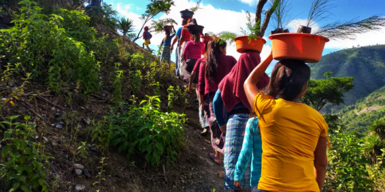 Plantan dos mil árboles en la cuenca del río Chixoy en Quiché