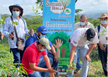 Ambientes limpios y más árboles en todo el país