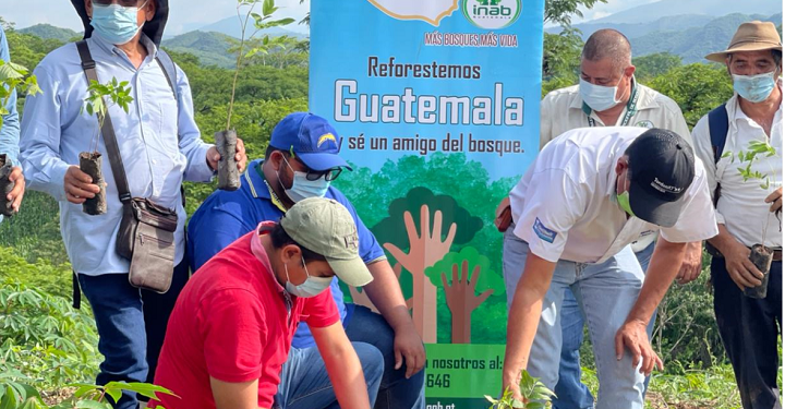 Ambientes limpios y más árboles en todo el país