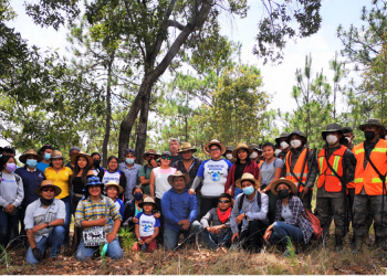 Avanza el programa Reforestemos Guatemala y las jornadas de limpieza en todo el país