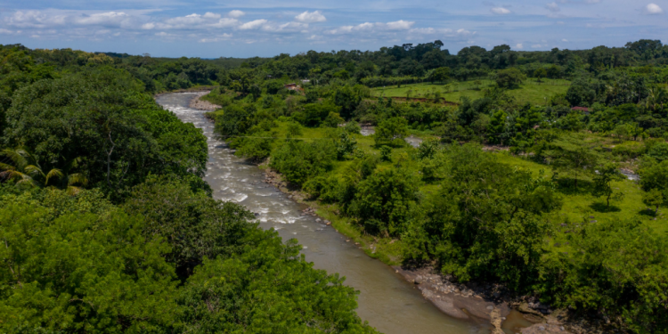 Mesa técnica río Ocosito trabaja para proteger el caudal