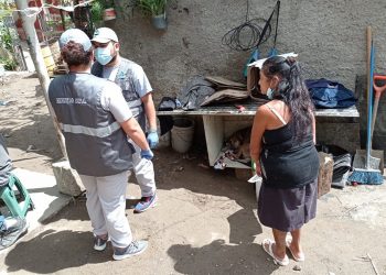 Animales en riesgo tras desbordamiento de río son rescatados