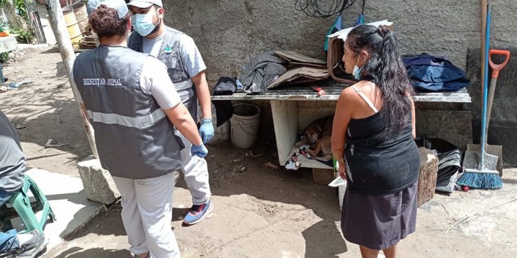 Animales en riesgo tras desbordamiento de río son rescatados