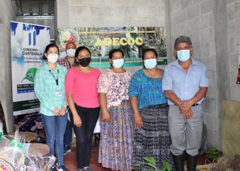 Asociaciones comunitarias impulsan el desarrollo agrícola en Alta Verapaz