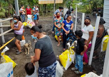 Familias reciben alimentos para sus animales de traspatio en Chimaltenango.