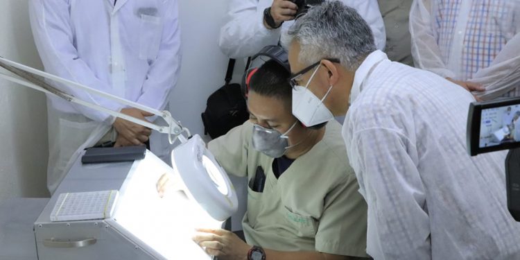 Guatemala es referente mundial en la producción de macho estéril para combatir la mosca del Mediterráneo