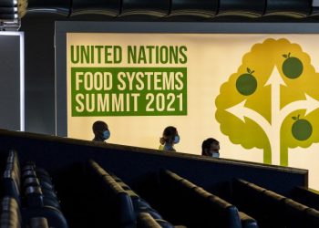 Guatemala participa en Precumbre sobre los Sistemas Alimentarios de la ONU