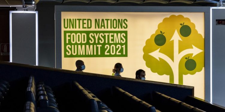 Guatemala participa en Precumbre sobre los Sistemas Alimentarios de la ONU
