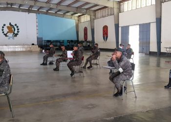 Efectivos castrenses capacitados sobre producción porcina