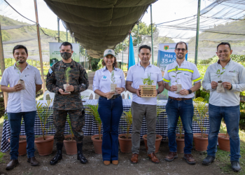 Reforestemos Guatemala recibe donación de 100 mil árboles