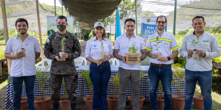 Reforestemos Guatemala recibe donación de 100 mil árboles