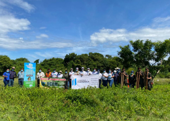 Escuintla, Huehuetenango, Retalhuleu y Suchitepéquez avanzan en la reforestación