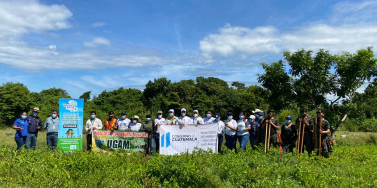 Escuintla, Huehuetenango, Retalhuleu y Suchitepéquez avanzan en la reforestación