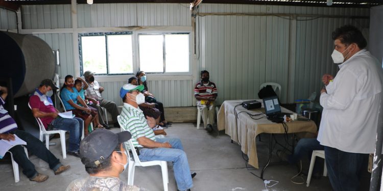 Capacitan a productores que buscan incursionar en la agricultura orgánica