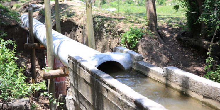 Fortalecen infraestructura de riego para mejorar la producción