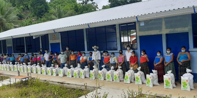 Miles de huertos familiares son instalados