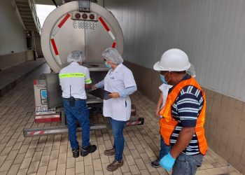 Inspeccionan para garantizar la inocuidad de la leche fluida de vaca