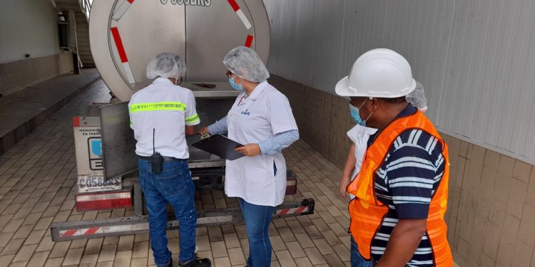 Inspeccionan para garantizar la inocuidad de la leche fluida de vaca