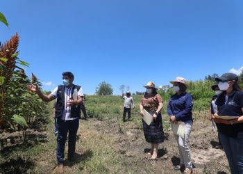 Secretaria y subsecretaria técnica de la Sesan continúan gira de trabajo en Izabal y Baja Verapaz