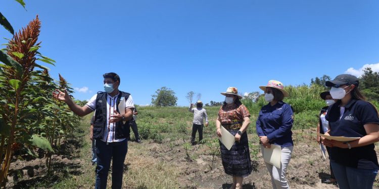 Secretaria y subsecretaria técnica de la Sesan continúan gira de trabajo en Izabal y Baja Verapaz