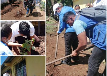 Acciones para contrarrestar la desnutrición