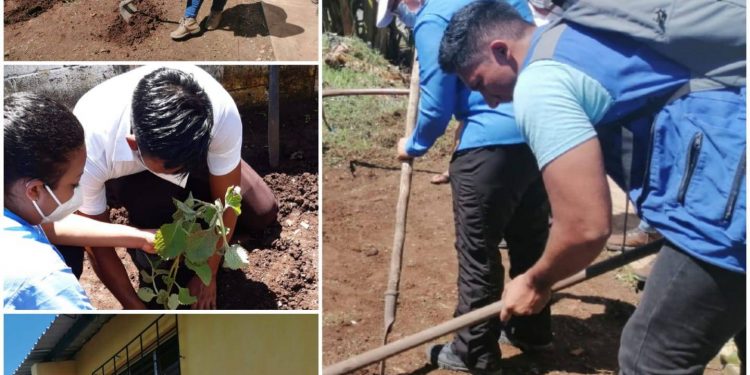 Acciones para contrarrestar la desnutrición