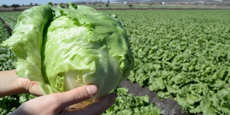 Guatemala y Ecuador profundizan  relación comercial