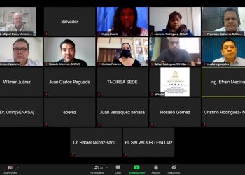 Centroamérica y República Dominicana trabajan por la sanidad agropecuaria de la región