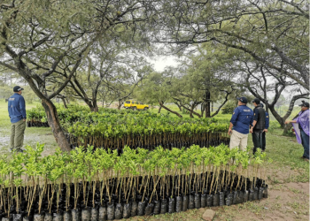 Proyecto Canje de Deuda fomenta la protección ambiental e incentiva la economía familiar