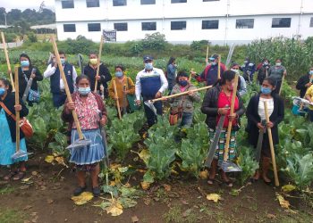 Más acceso y disponibilidad alimentos para familias rurales