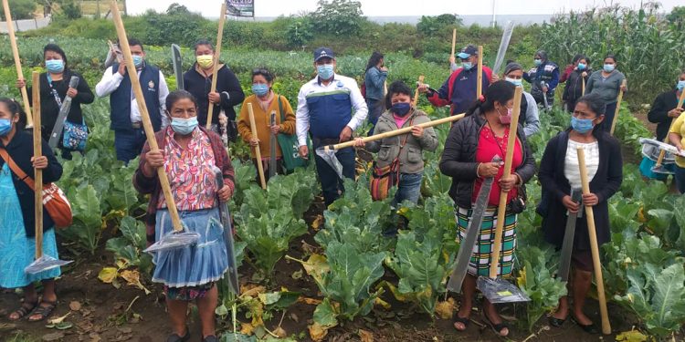 Más acceso y disponibilidad alimentos para familias rurales